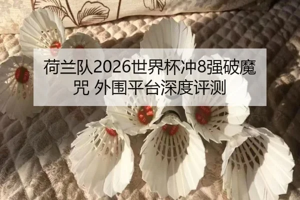 荷兰队2026世界杯冲8强破魔咒 外围平台深度评测